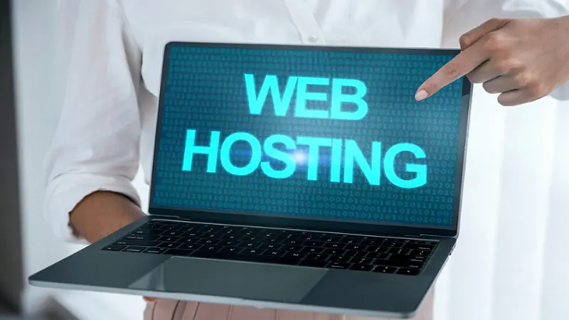 WordPress Hosting Topdomainzz com