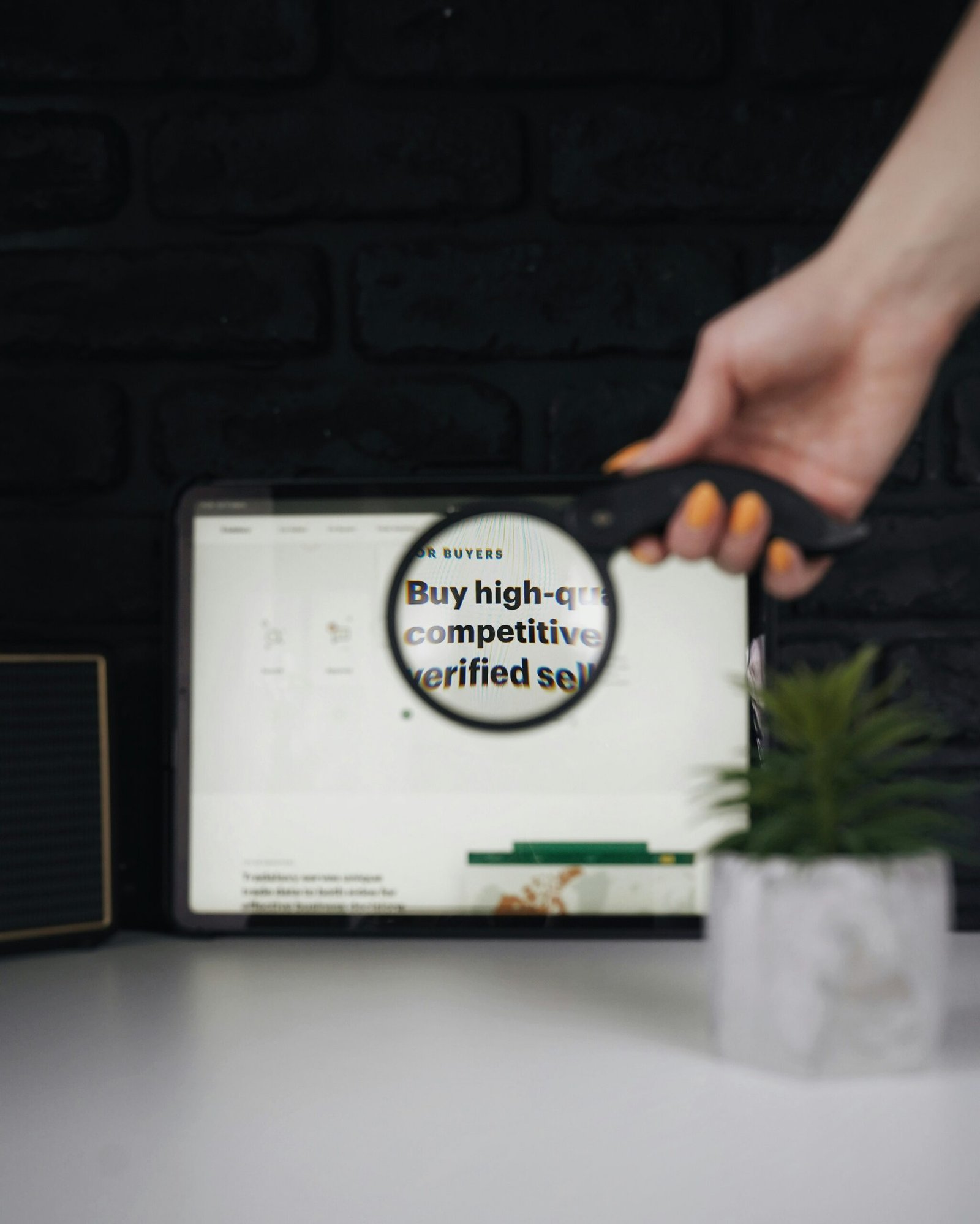 MWT%20Media%20—%20Masters%20of%20Website%20Traffic